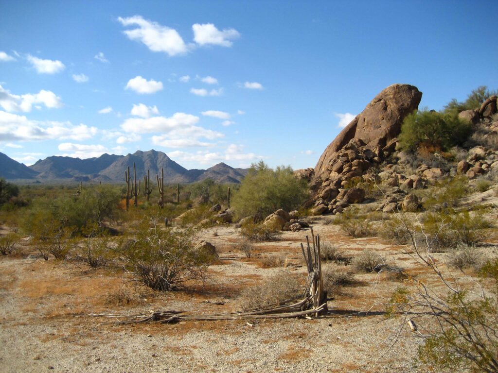 Desierto de Sonora.