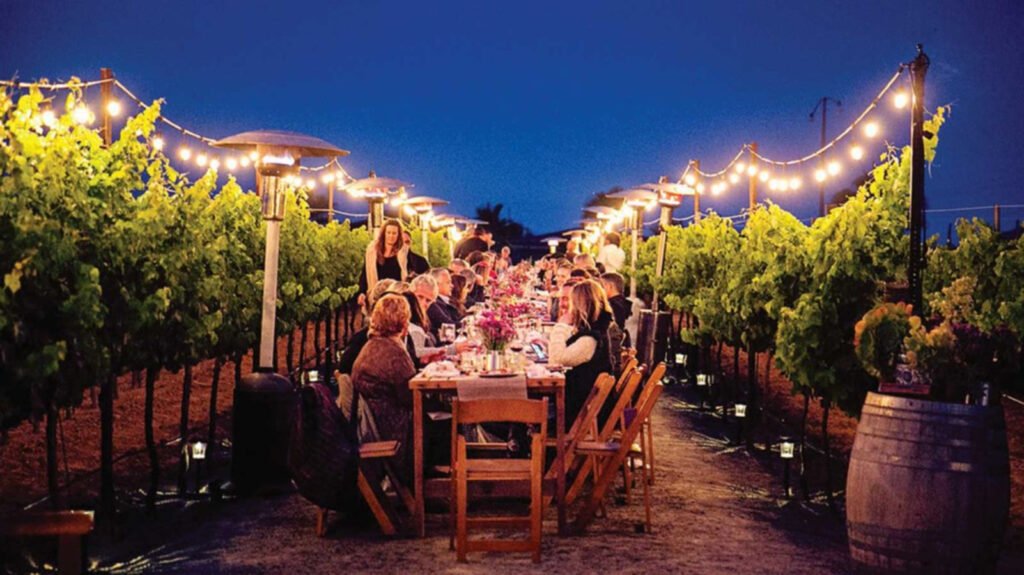 Mesa larga con centro de mesas de flores color morada. La mesa entre camino de viñedo y luces colgantes. Viñedos del valle