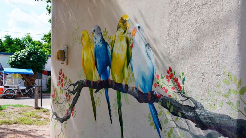 Mural de canarios en Cócorit