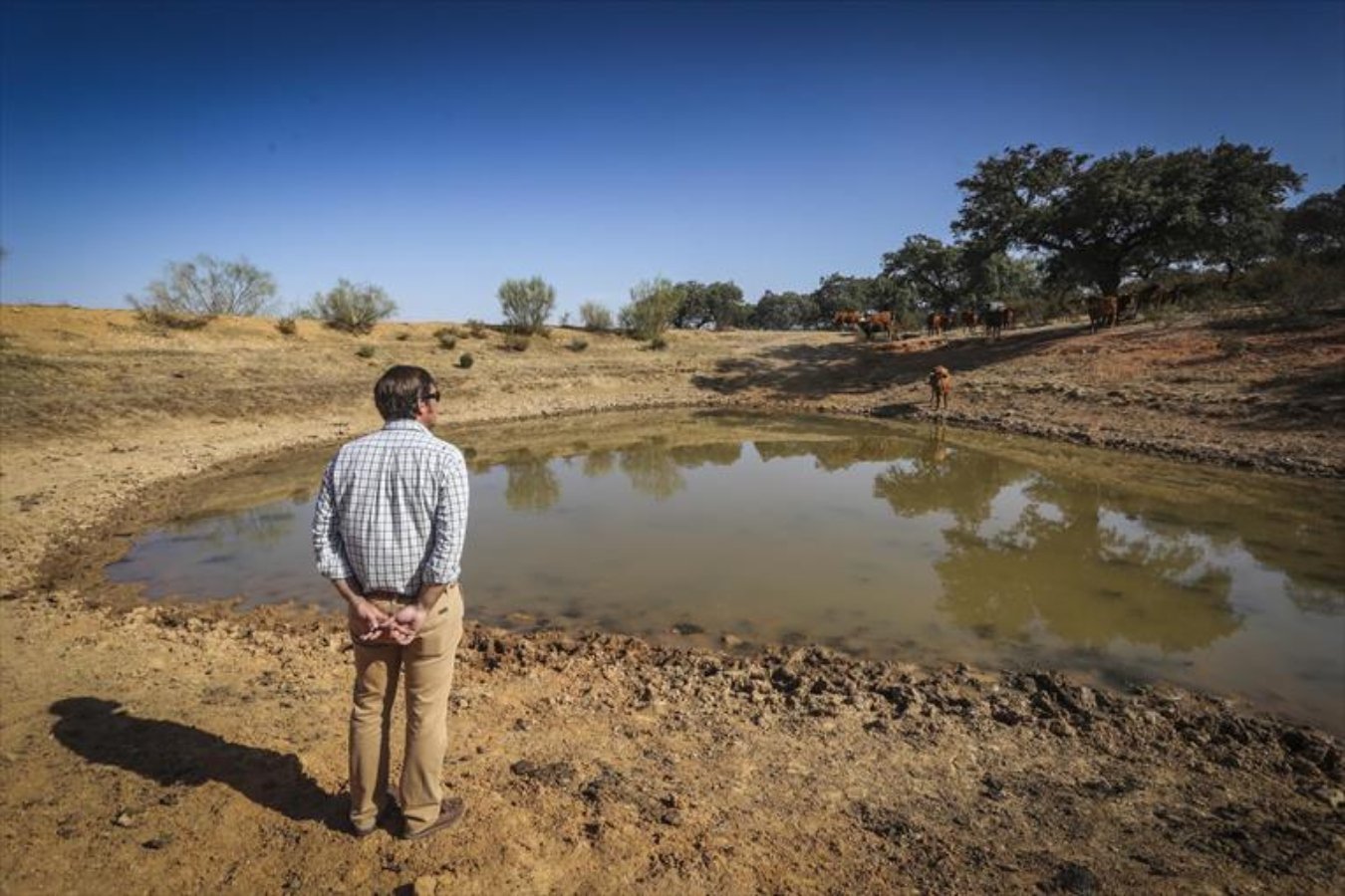 Hombre con camisa color azul y pantalon café claro, observando la sequía de agua en la naturaleza.
