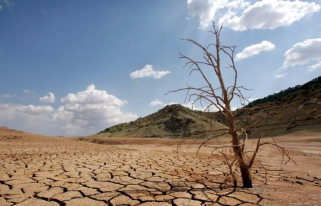 Sequía debido al cambio climático.