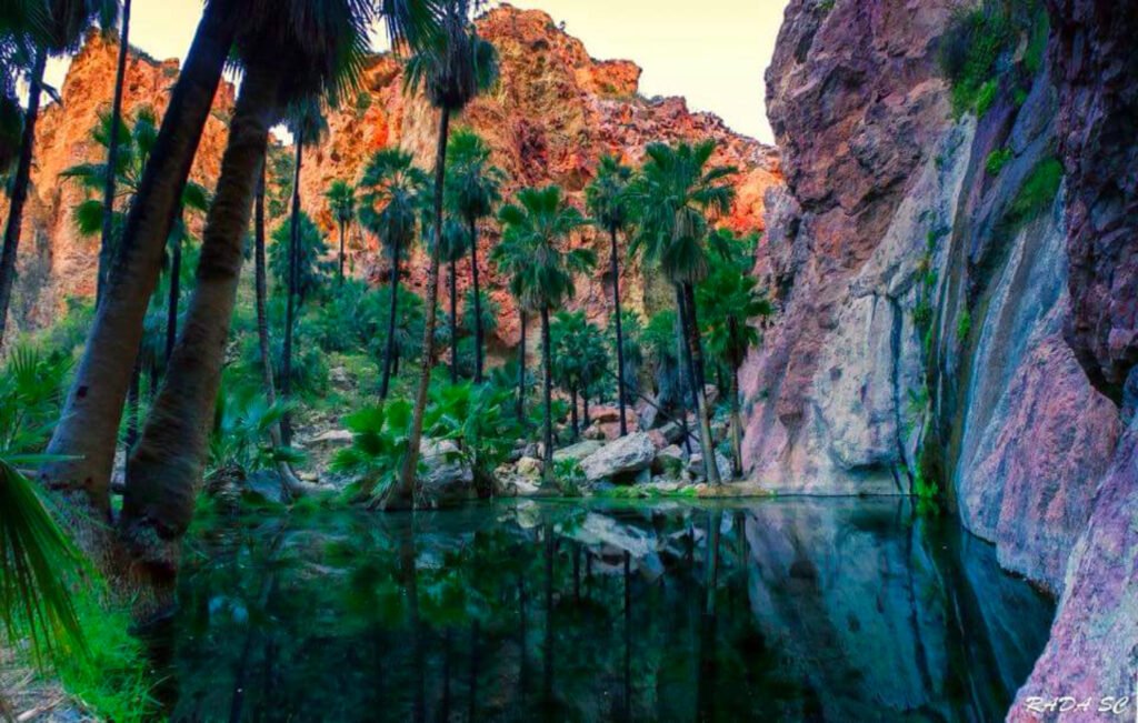 Una de las maravillas naturales de San Carlos es el Cañón el Nacapule: en la imagen se puede observar rocas montañosas de color rojizo y en la parte de abajo hay agua junto a grandes palmeras color verde. 