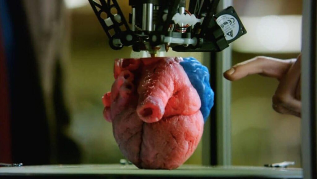 GSE Biomedical- impresión 3D de corazón color rojo y una parte color azul. Un dedo se encuentra apuntando al corazón.
