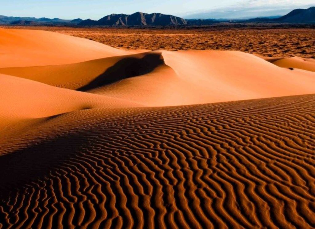 Dunas de arena color rojiza de diversas formas.