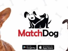 MatchDog App