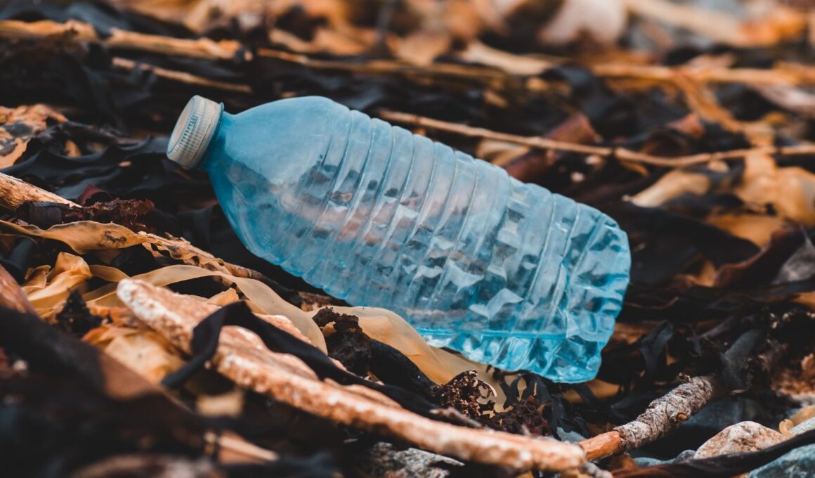 botella de plástico en el suelo de un bosque