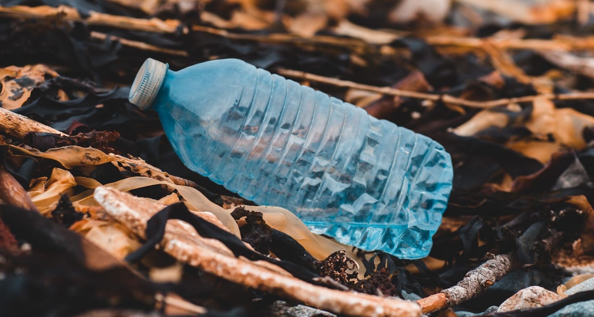 botella de plástico en el suelo de un bosque