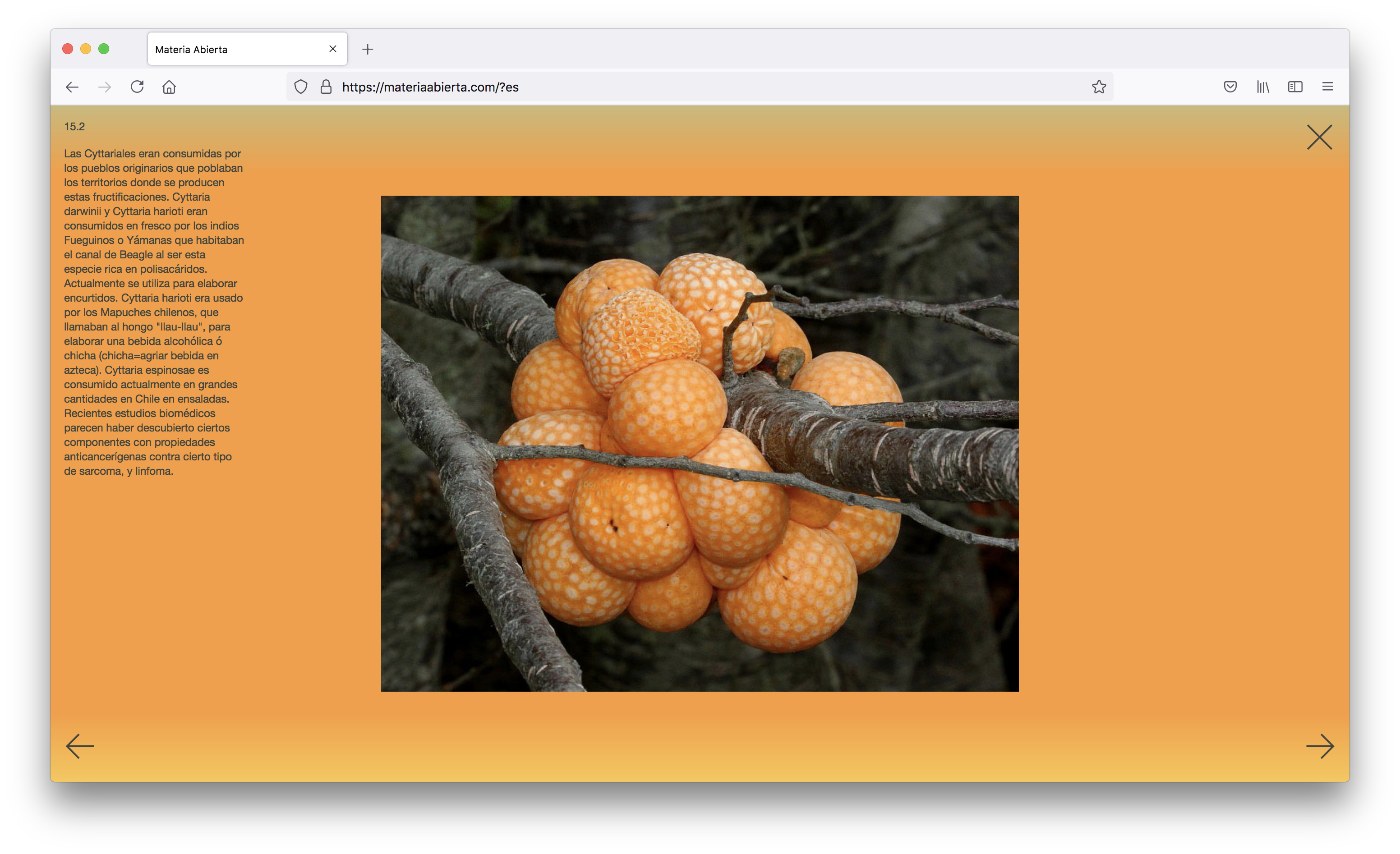 captura de pantalla de la home de Materia Abierta con fondo naranja y una foto de un tronco con hongos