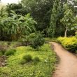 jardin-botanico-culiacan