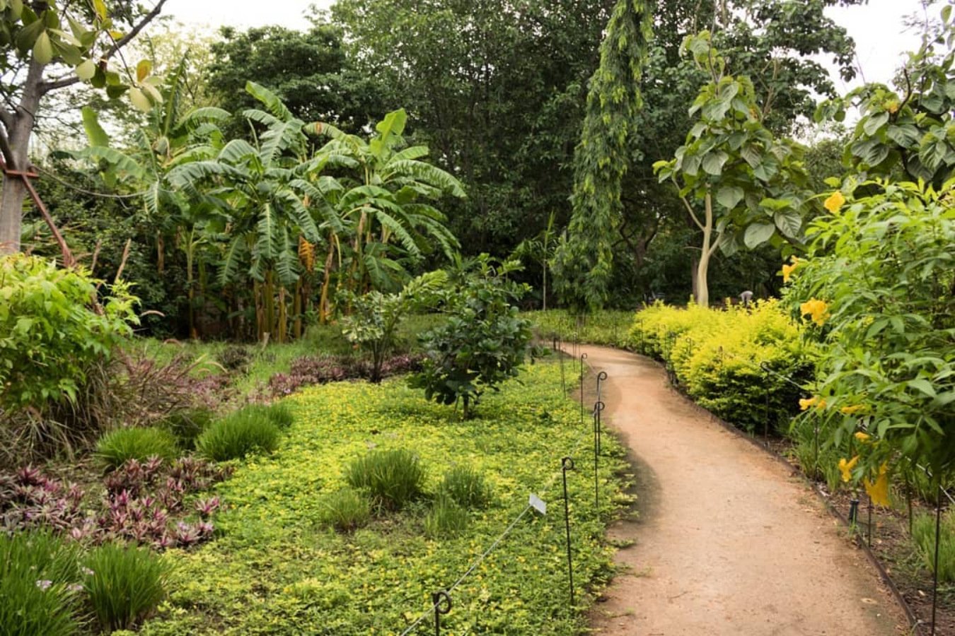 jardin-botanico-culiacan