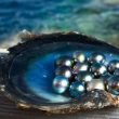 Perlas sudcalifornianas