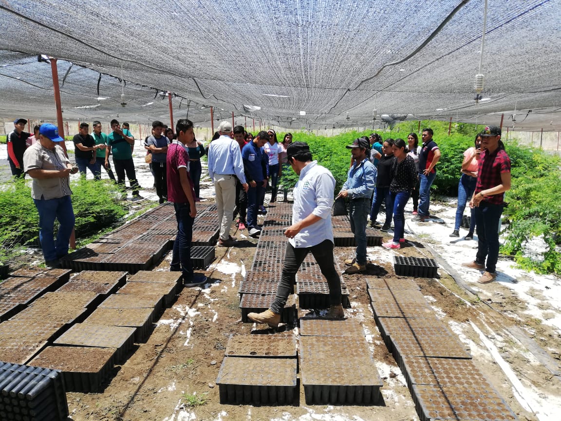 Personas que asisten a programas de educación ambiental de FACES, Fábrica del Agua Centro Sinaloa