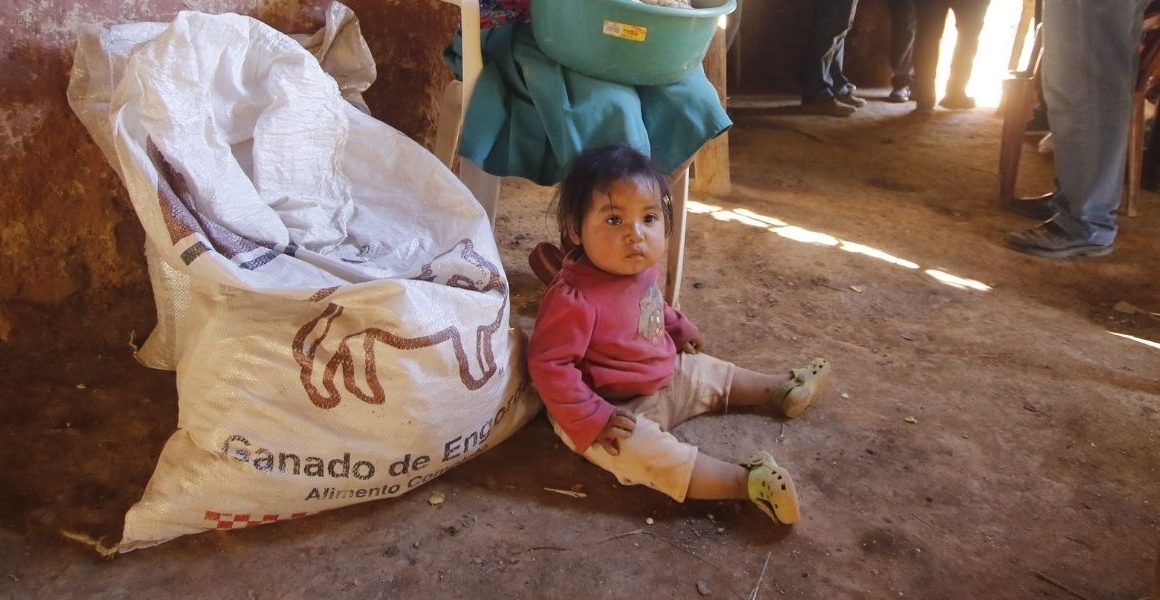 niña tarámari con sudadera rosa sentada en el piso a un lado de alimento para ganado