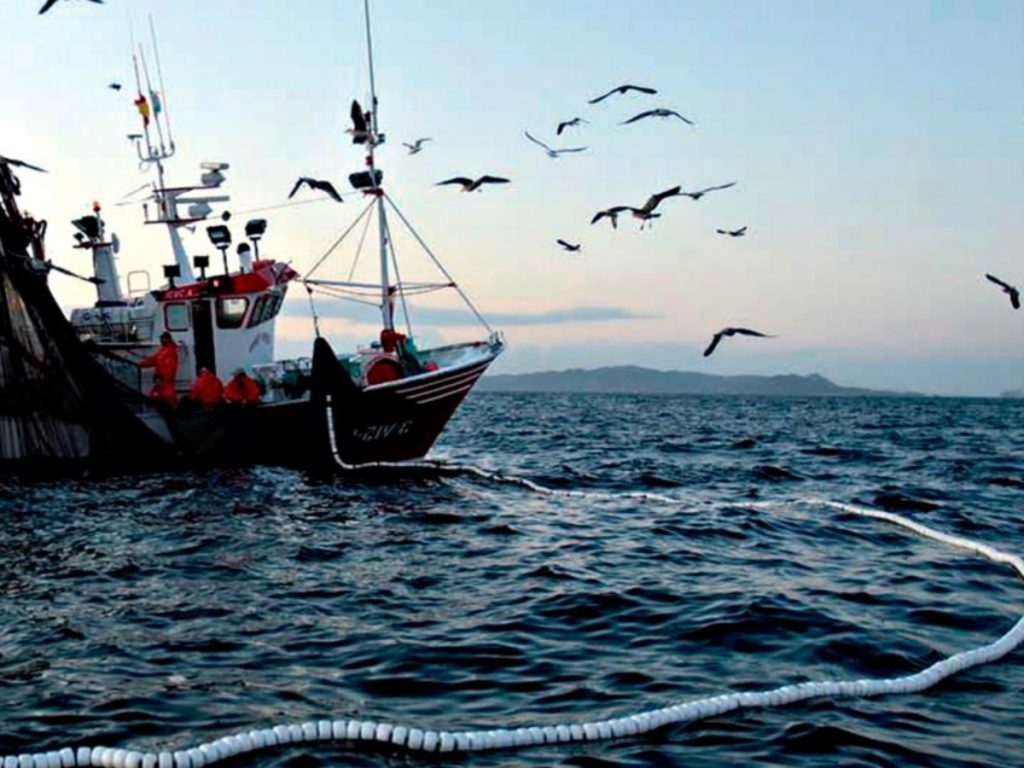 Sector pesquero en Sonora