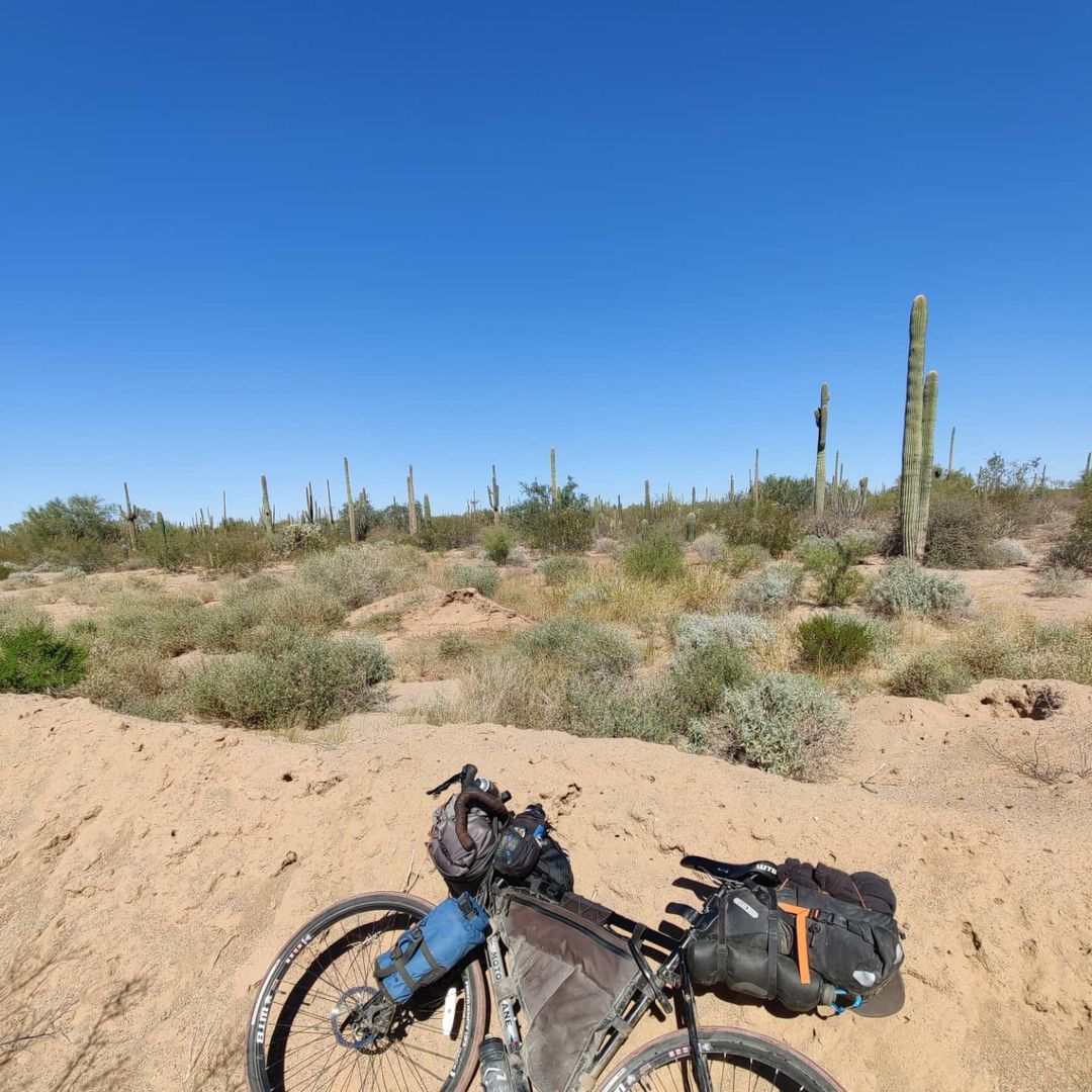 Andrew Gaines deja su bicicleta en el desierto para tomar foto a plantas nativas. 