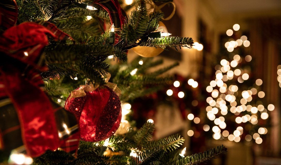 arbol-de-navidad-el-origen-y-lo-que-debes-saber-de-esta-tradicion
