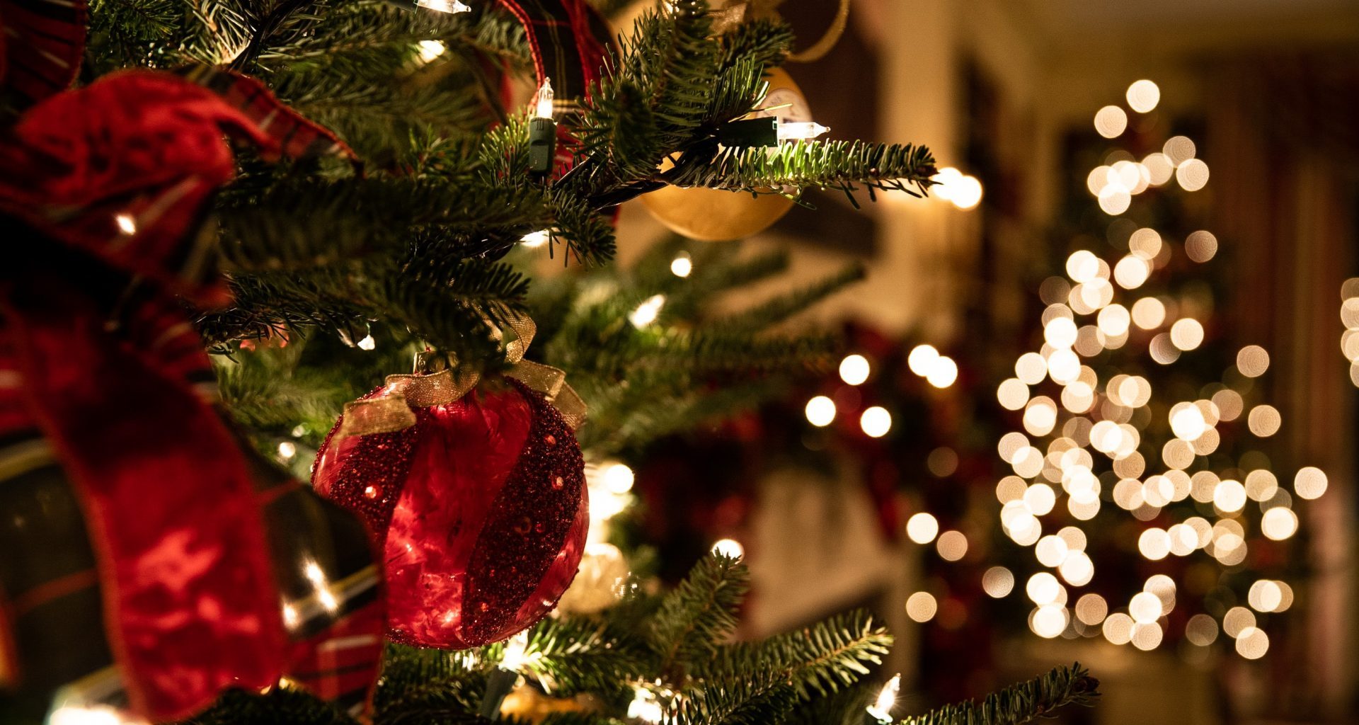 arbol-de-navidad-el-origen-y-lo-que-debes-saber-de-esta-tradicion
