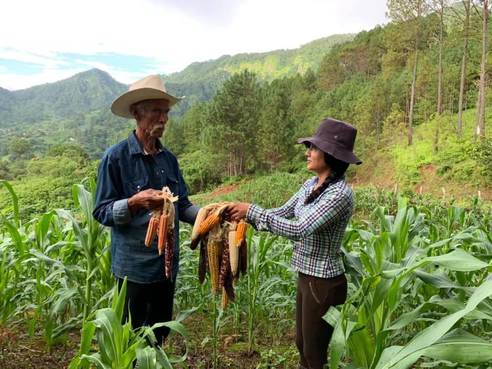 mujer y hombre mayor sostienen maíz