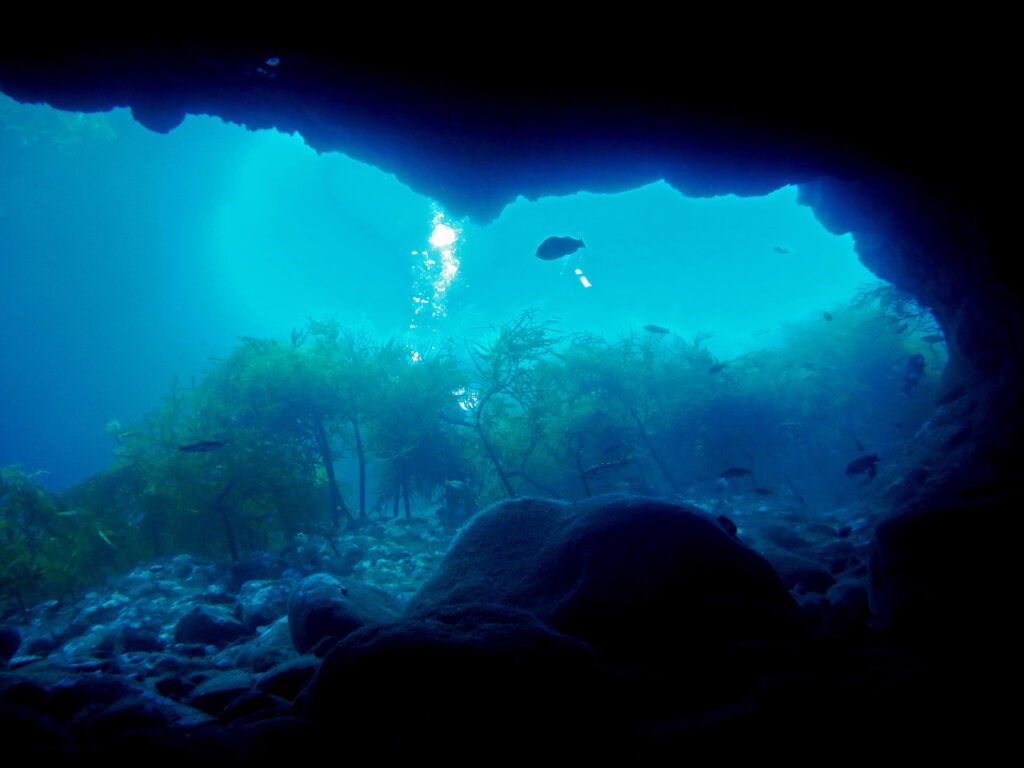 fondo submarino en una de las zonas naturales marinas
