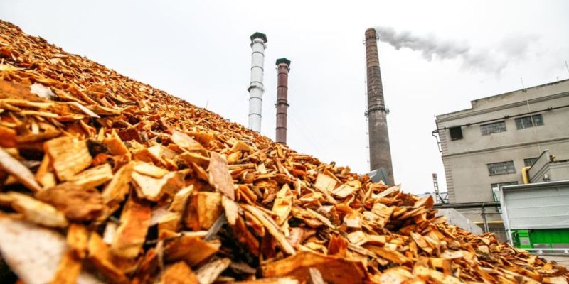 Industria de proceso de biomasa. FOTO: Portal Concepto.