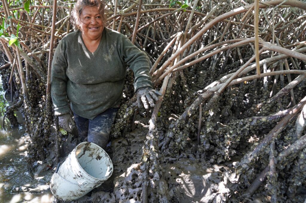 10 reportaje norma sanchez mujeres pescadoras sinaloa.jpeg