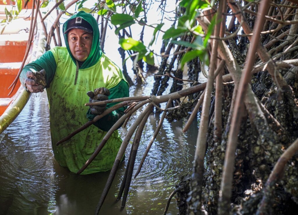 4 reportaje norma sanchez mujeres pescadoras sinaloa