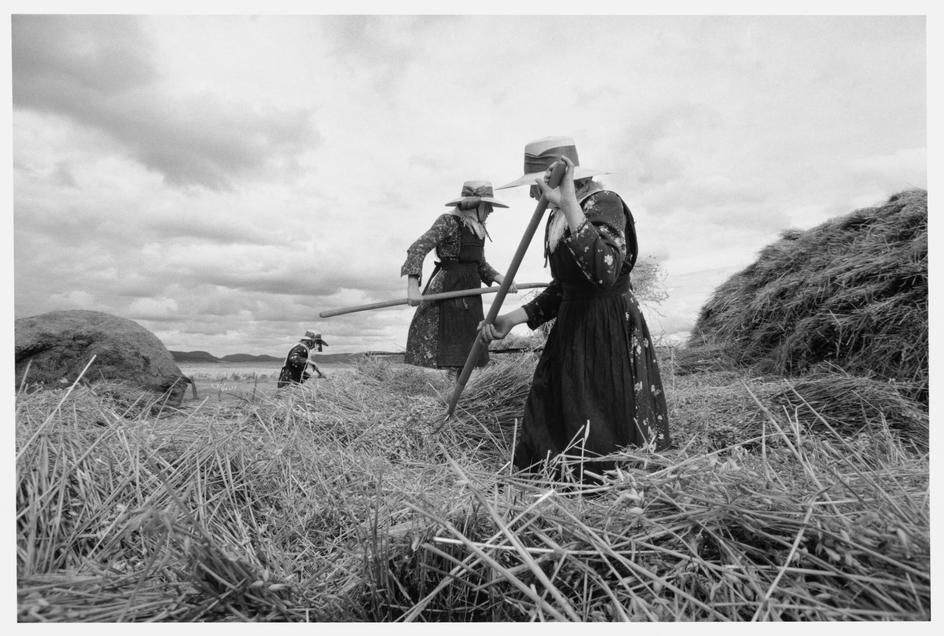 Mujeres menonita cultivando la tierra. FOTO: Pinterest.