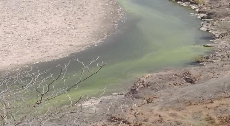 Pobladores denunciaron la contaminacion del rio, donde vieron que el agua se torno verde
