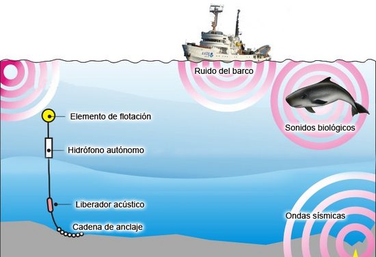 Ejemplo visual del funcionamiento del hidrófono para ballenas. FOTO: Grupo Álava.