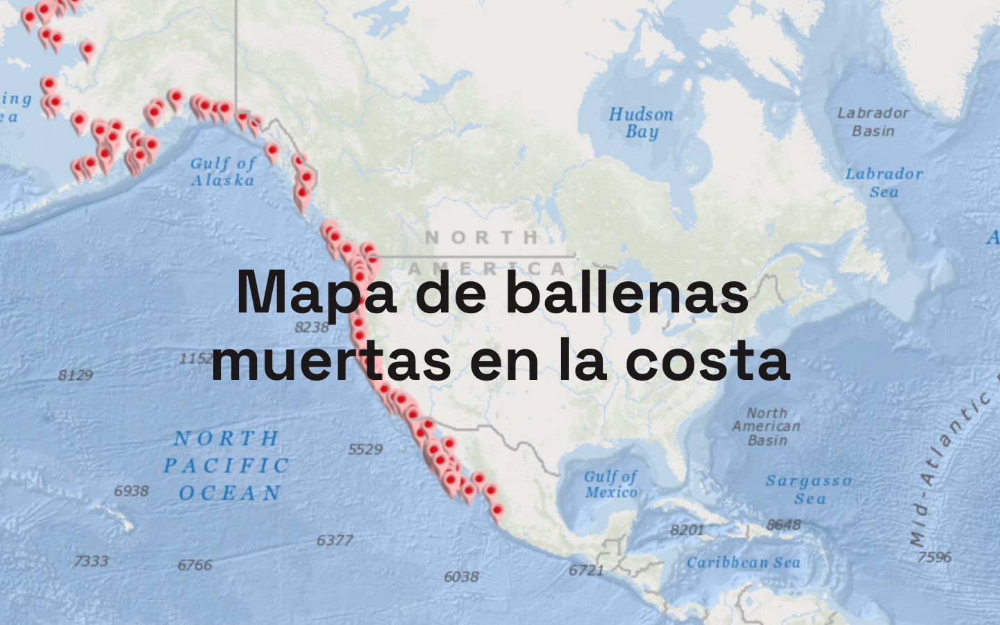 mapa de ballenas muertas en la costa del Pacífico