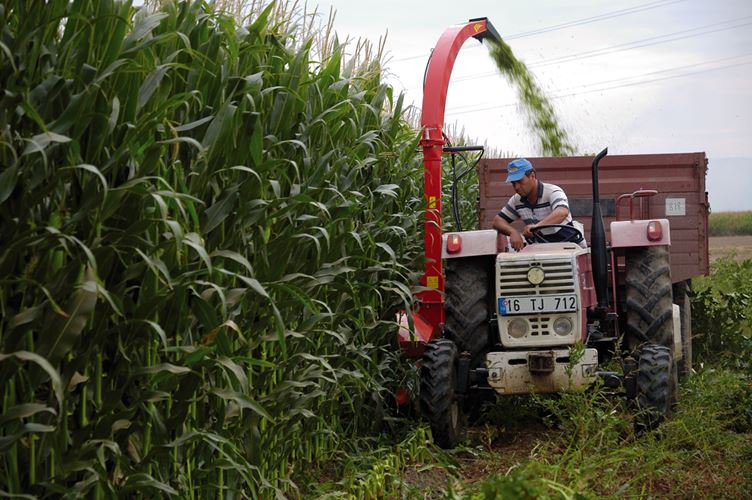 Granos de soya y maíz aumentaron su costo por la alta demanda y poca oferta, debido a conflicto bélico entre Rusia y Ucrania, pues son de los principales exportadores. FOTO: Portal Agrofertas.
