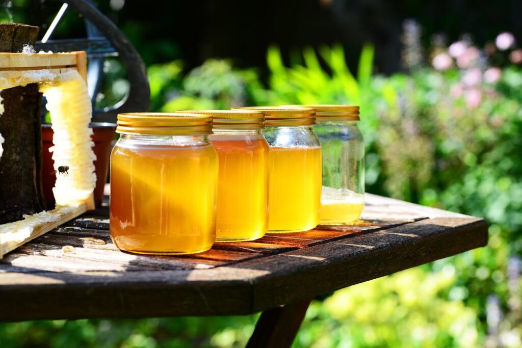 Baja la produccion de miel en Sonora debido a la muerte de abejas