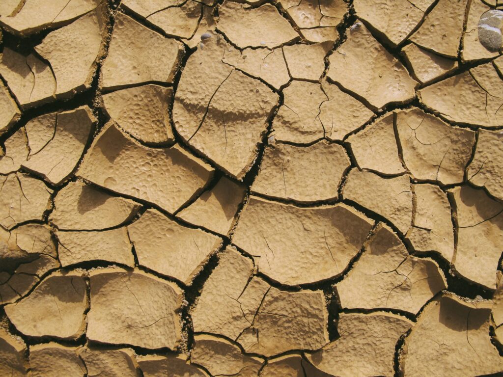 Imagen del suelo afectado por la sequía. FOTO: Portal La Jornada Baja California.