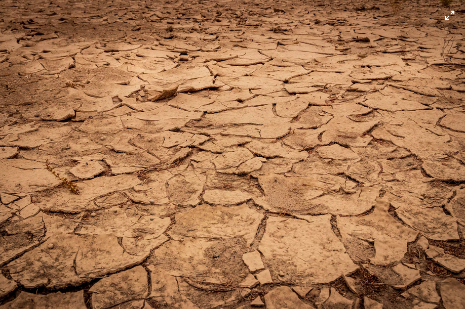 Tierra seca agrietada