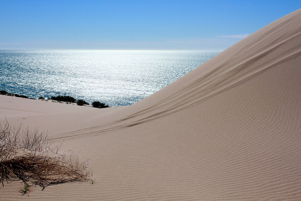 Altas dunas de arena del desierto que terminan en un mar azul.