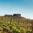 Valle de Guadalupe, la trcera mejor región vitivinícola del mundo