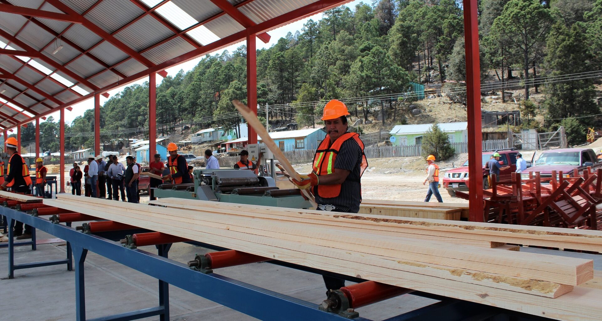 Durango es uno de los principales productores de madera en México