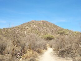 El Bachoco: el cerro favorito de los hermosillenses