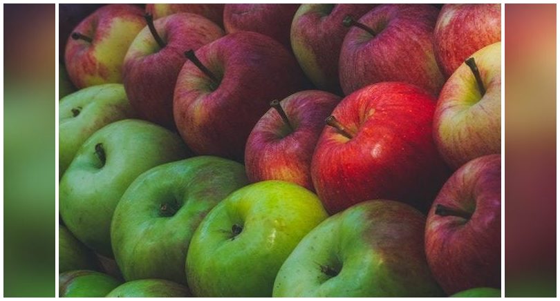 Crean iniciativa de biocombustible con desechos de manzanas