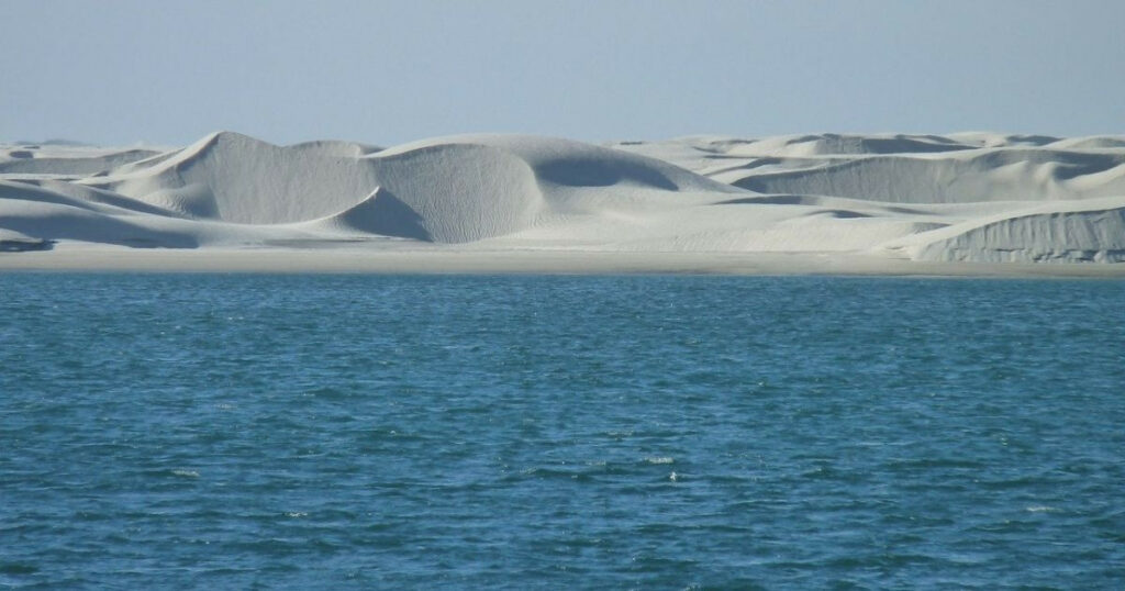 La Isla Altamura el ‘Sahara sinaloense’ a 60 km de Culiacán