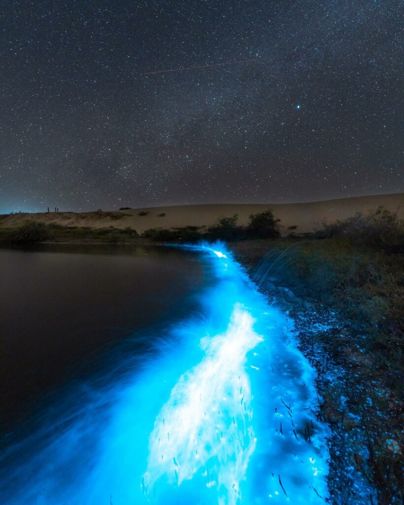 Playa de Tastiota, un paraíso en Sonora donde hay bioluminiscencia