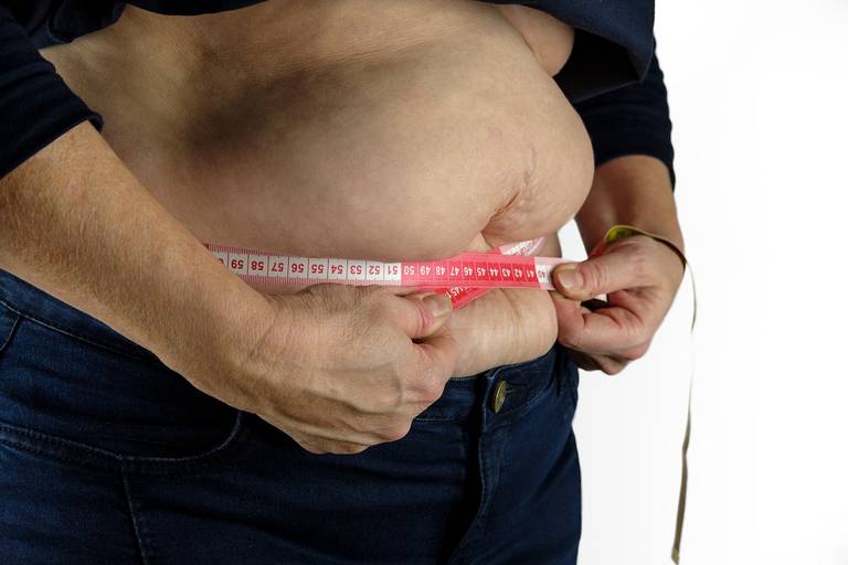Dieta sonorense factor de riesgo para obesidad