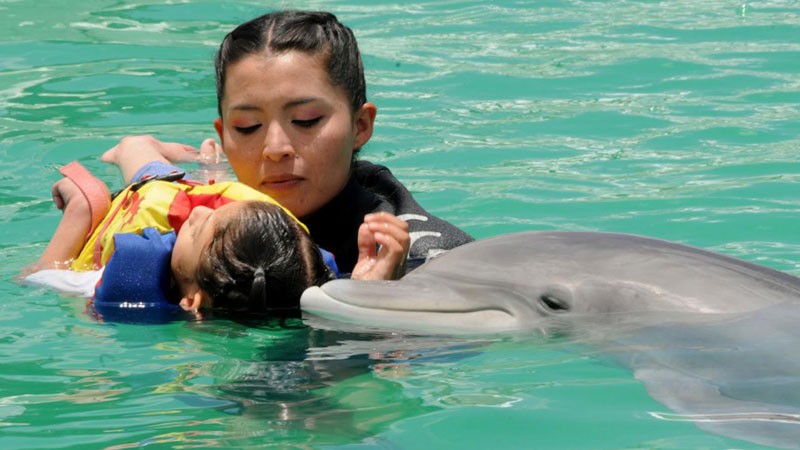 La delfinoterapia en Sonora volverá en mayo próximo
