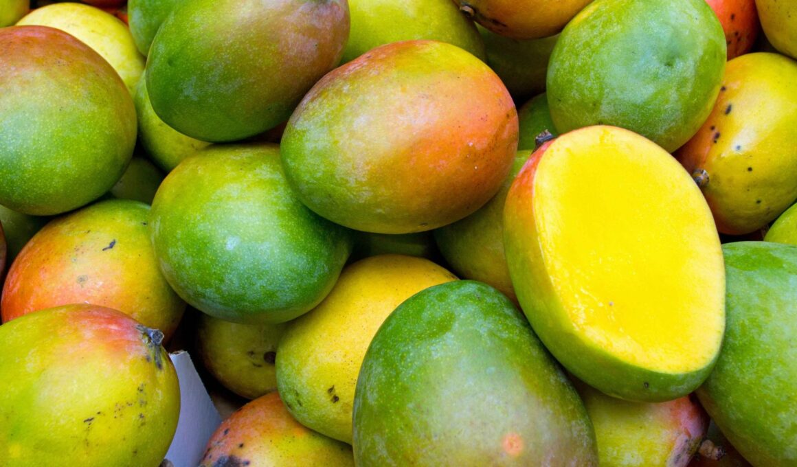 Sinaloa es líder mundial en exportación de mango