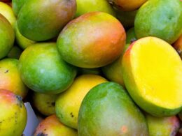 Sinaloa es líder mundial en exportación de mango