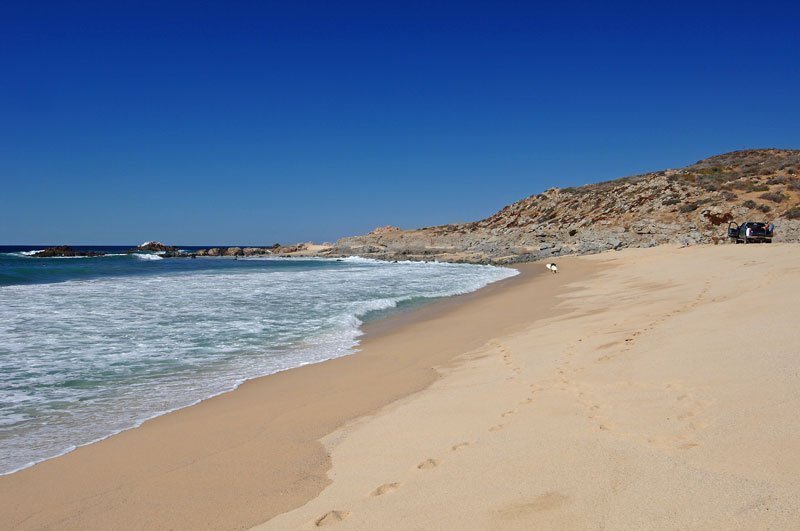 las 5 mejores playas para surfear en baja california sur la curva