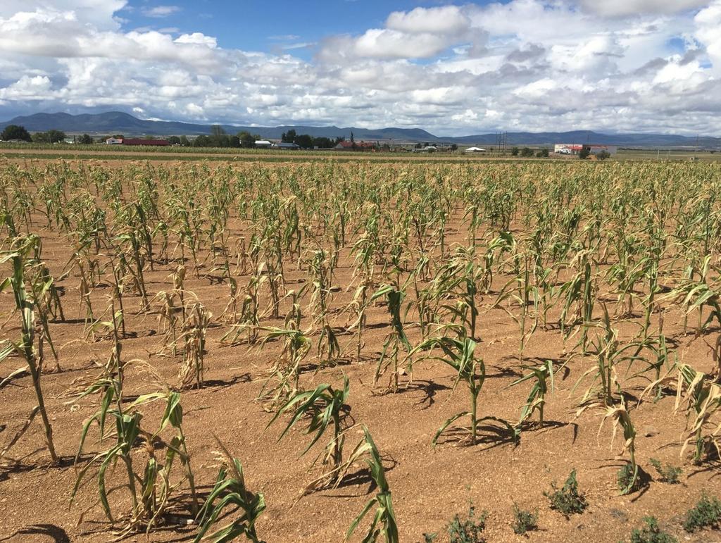 La sequía en México alcanza el 50% del territorio 
