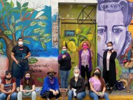 Colectivo Mujeres Creando Sinaloa: quiénes son y qué hacen