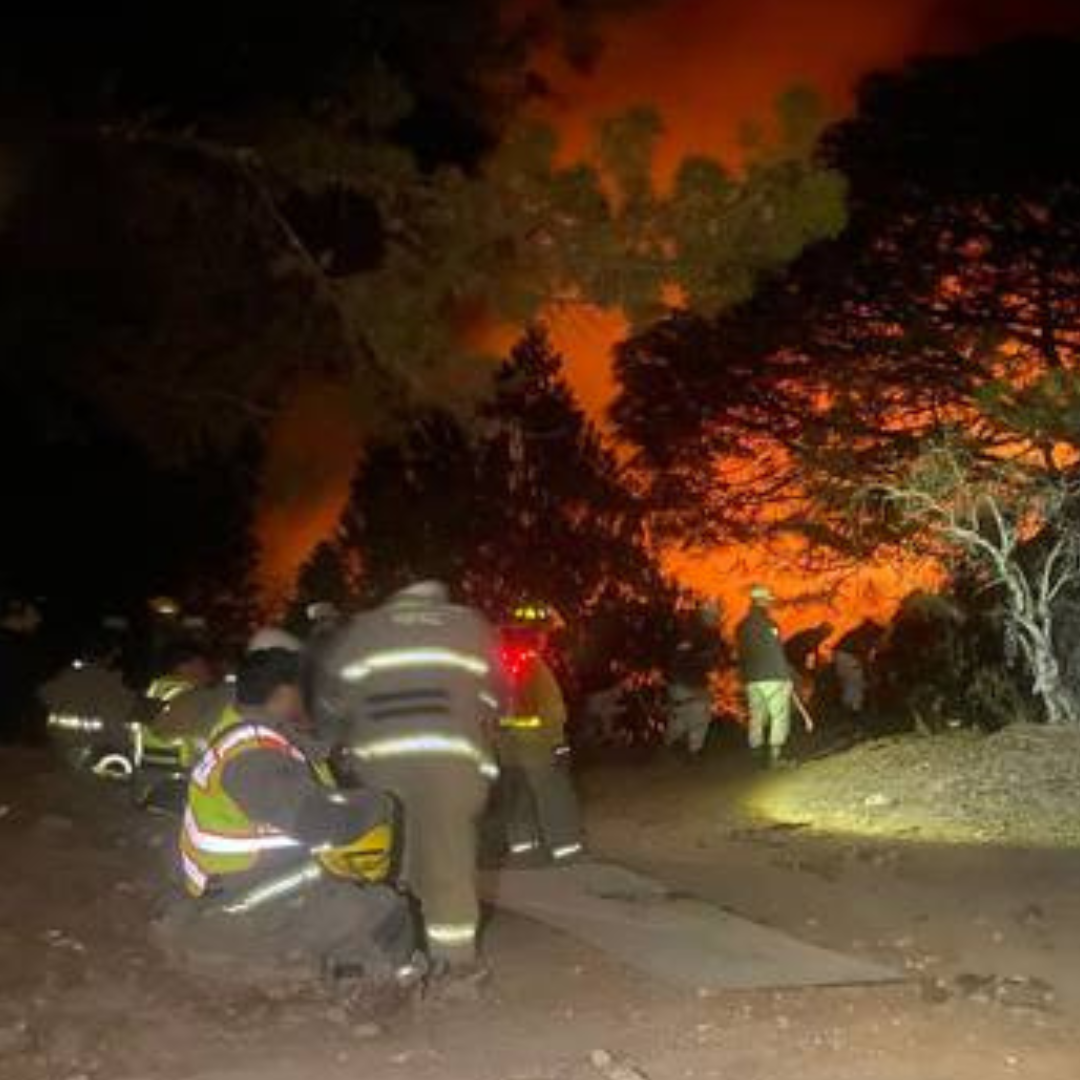 Un incendio forestal en La Lobera, municipio de Concordia, Sinaloa, ha dejado un saldo de 80 hectáreas de bosque destruidas. Aunque el incendio ya está controlado, las autoridades han señalado la necesidad de extremar precauciones y tomar medidas de prevención para evitar futuros siniestros.