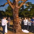 Escultor convierte árbol seco de 15 metros en arte